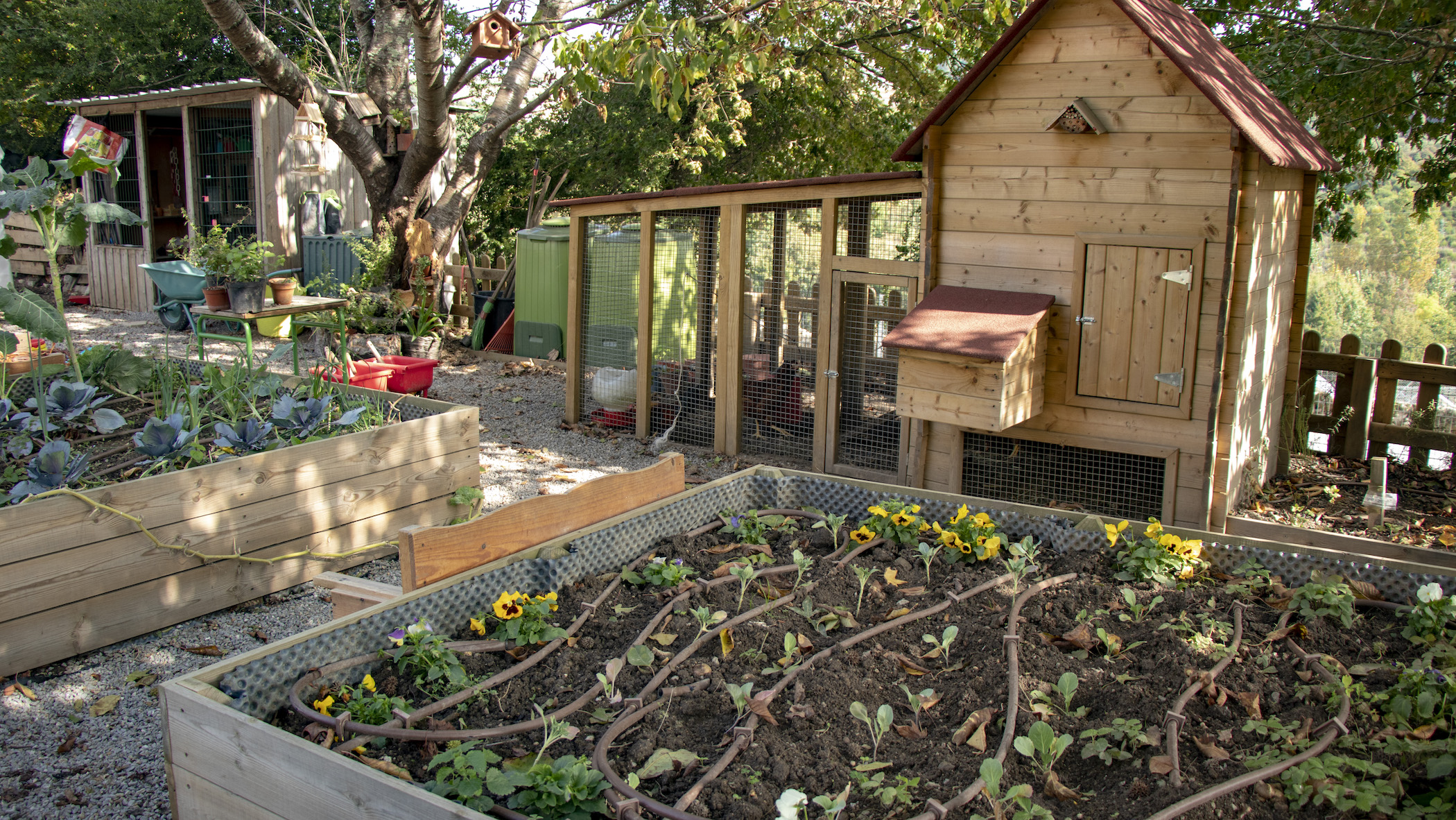 DIA DAS BANDEIRAS VERDES 2020