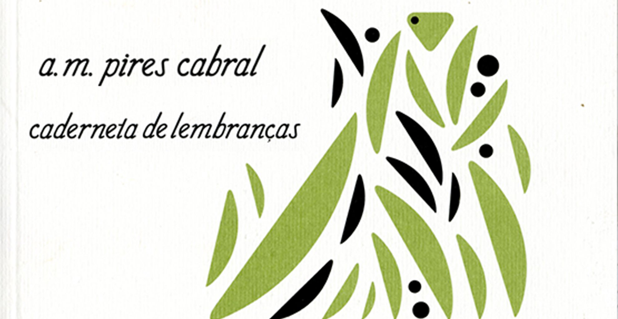 ESCRITOR A. M. PIRES CABRAL RECEBE NOVA DISTINÇÃO PELO SEU TRABALHO LITERÁRIO