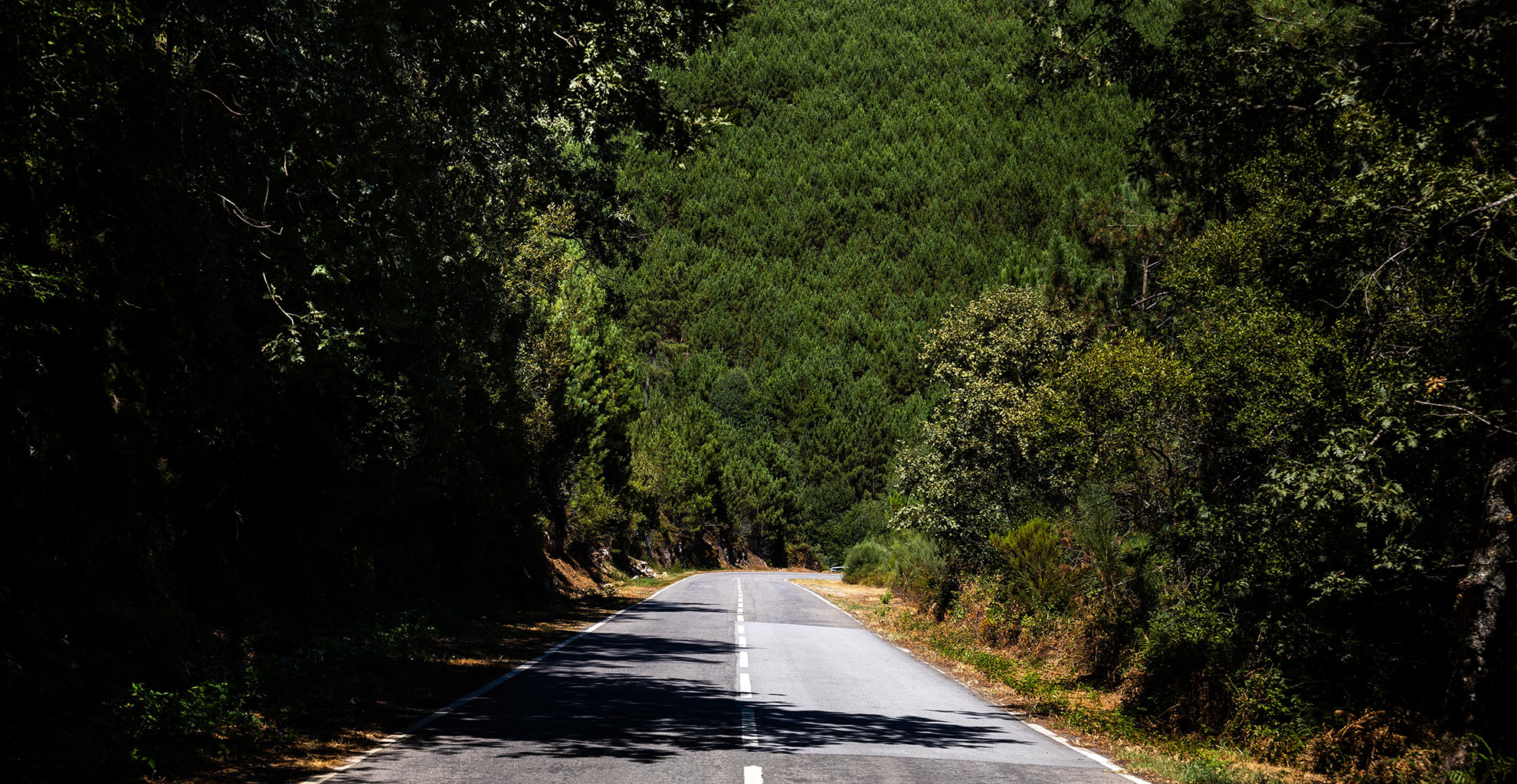 VILA REAL INSTALA CÂMARAS DE VIGILÂNCIA FLORESTAL PARA REDUZIR IGNIÇÕES E REFORÇAR A PREVENÇÃO