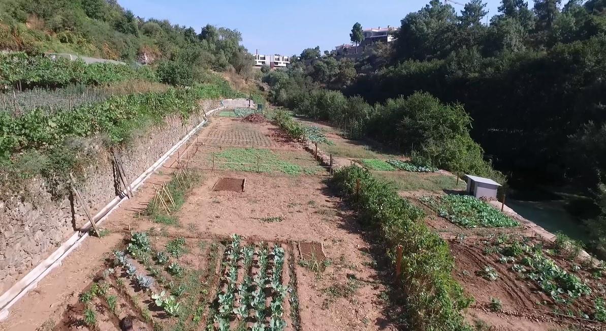 ABERTURA DE PROCEDIMENTO PARA ENTREGA DE TALHÃO DAS HORTAS URBANAS 