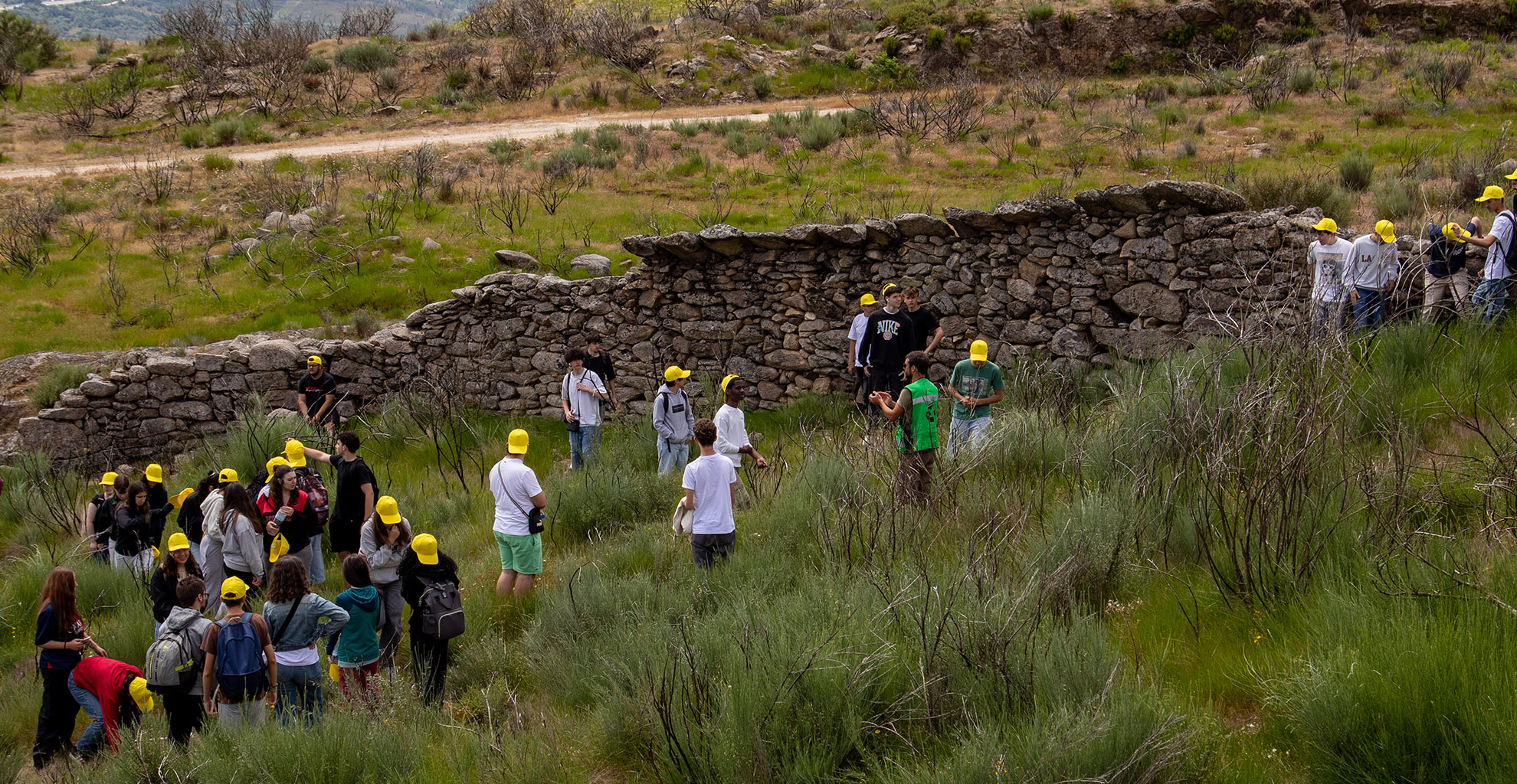 SEMANA DO AMBIENTE 2025 | 2 A 10 DE JUNHO
