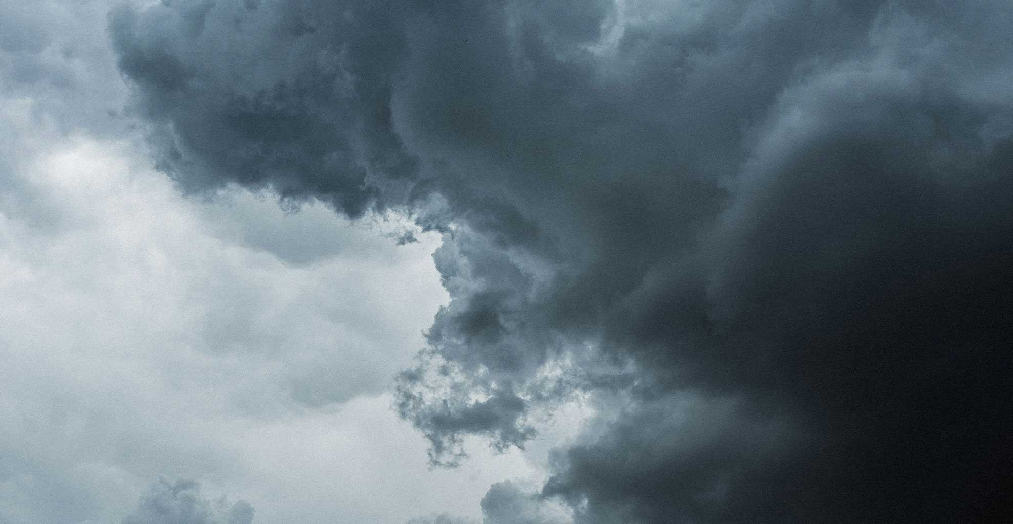 INFORMAÇÃO | APOIO AO SETOR AGRÍCOLA